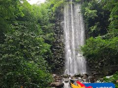 -新加坡飞禽公园
