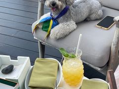 -瑰丽酒店·海吧·天际下午茶·现场DJ·天台酒吧
