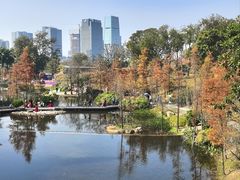 -云溪植物园