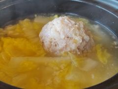 -丁老爷子苏香圆