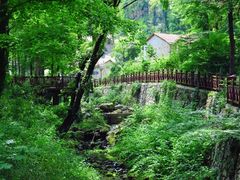 -素山寺森林公园