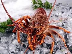 -新加坡泰国村酒楼(五角场店)