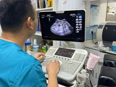 -中农国际动物医院24小时·猫科·骨科·急重症中心