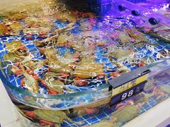 -大众海鲜(巨龙北路店)
