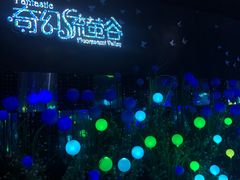 -大塘金香草谷