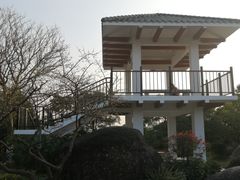 -玉树公园