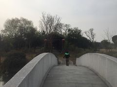 -鹅湖玫瑰文化园