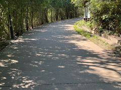 -府君山公园