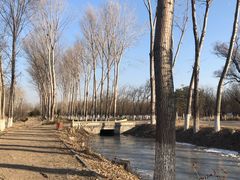 -东郊湿地公园