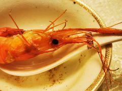 澳门氹仔桑拿虾（活虾）-御龙阁海鲜酒楼