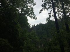 -塔云山