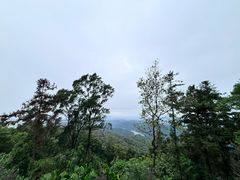 -广州市帽峰山景区