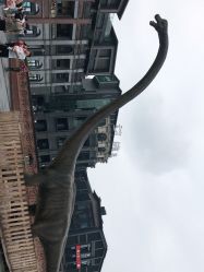 -恐龙探索乐园(磁器口店)