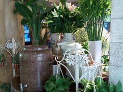 android_upload_pic-春暖花开(西溪店)