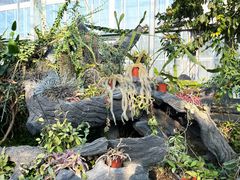 -国家植物园南园