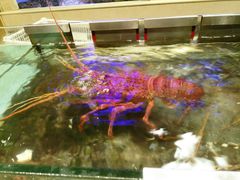 -宜宾海鲜酒家·三十年老字号