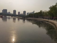 -莲花池公园
