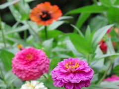 -玄武湖景区-情侣园游乐场