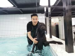 -柚子宠物(伊珊娜调理店)