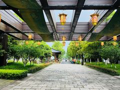 -长田漾湿地公园