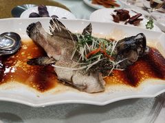 -四季海鲜酒楼·粤菜·早茶·宴会(南山中心区店)