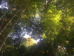 -杭州黄龙洞