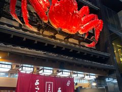 -蟹料理 北海道かに将軍(札幌本店)