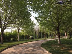 iphone_upload_pic-鹤壁迎宾馆