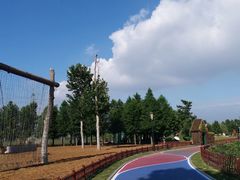 -羊亭河湿地公园