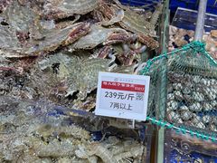 -中国舟山国际水产城