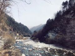 -黑河国家森林公园