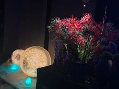-墨锦轩·5D影院足浴·SPA(高新店)