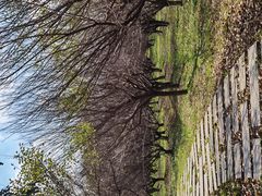 -南湖湿地公园