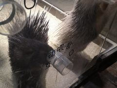 -zoonana室内动物园(东方福来德店)