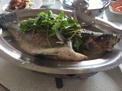 -曾家小栈