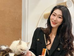-楼上猫咖(罗湖店)
