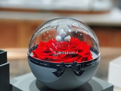 -ROSEONLY诺誓(磐基中心店)