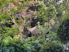 -乌山风景区