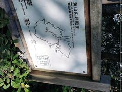 -千岛湖东南湖区
