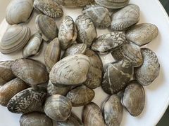 -山海关清和浑锅店