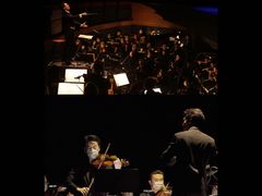 -交通银行前滩31演艺中心