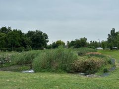 -两河城市森林公园