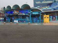 -海合安青岛极地海洋公园