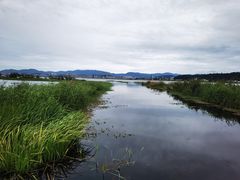 -洱海月湿地公园
