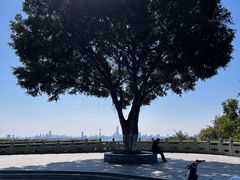 -火炉山森林公园