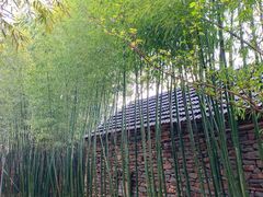 -竹泉村旅游度假区