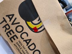 -油梨树AVOCADO TREE(望京店)