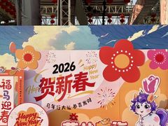 -荷兰花海