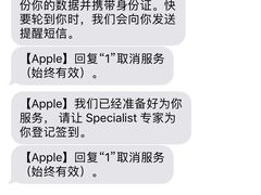-Apple零售店(中街大悦城店)