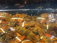 -龙宴海鲜城(经中路店)